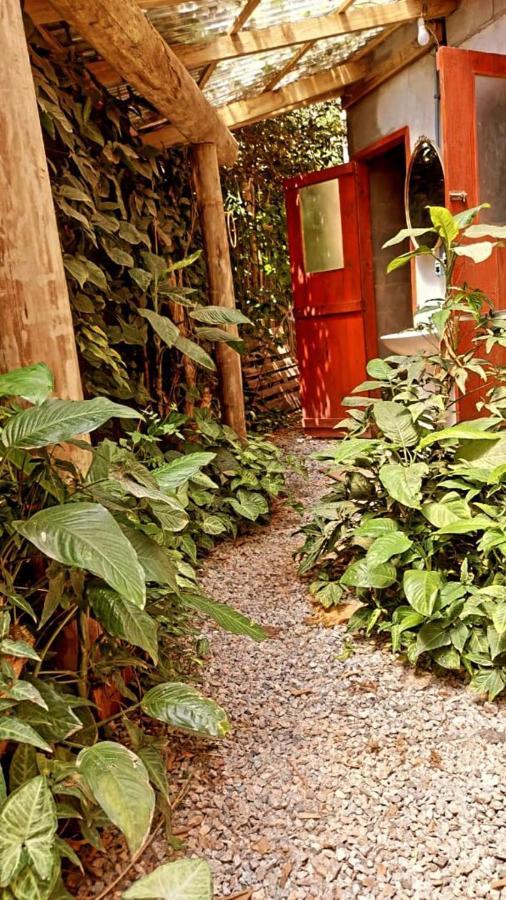 Villa Morena Benessere Florianópolis Eksteriør bilde
