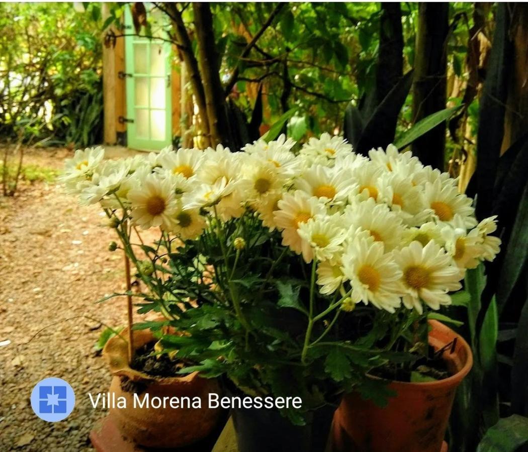 Villa Morena Benessere Florianópolis Eksteriør bilde