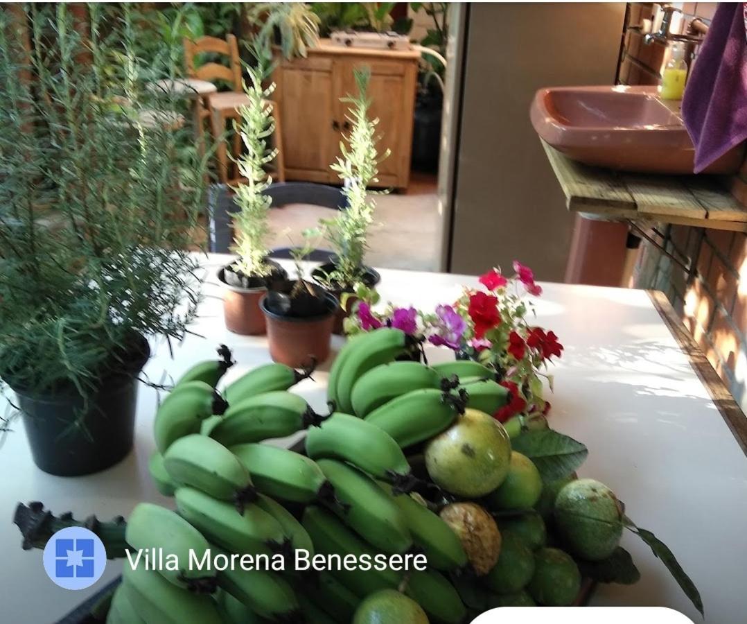 Villa Morena Benessere Florianópolis Eksteriør bilde