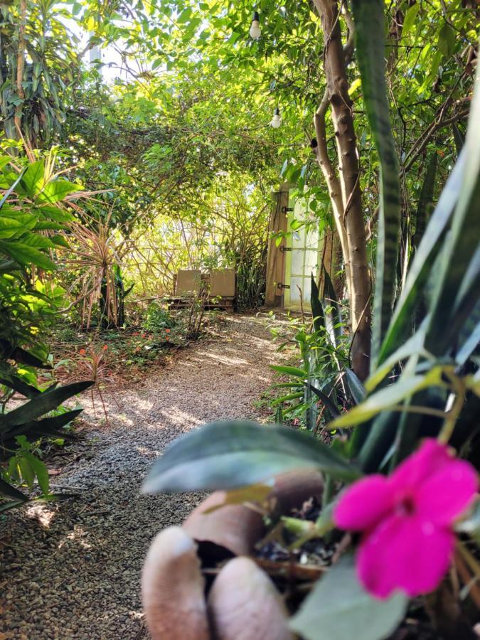 Villa Morena Benessere Florianópolis Eksteriør bilde